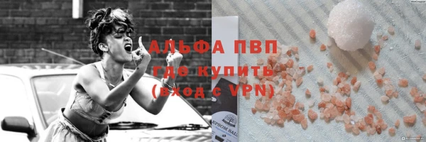 индика Нязепетровск