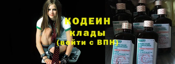молекула духа Осинники