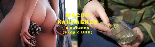 индика Нязепетровск