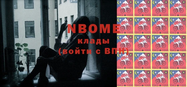 индика Нязепетровск