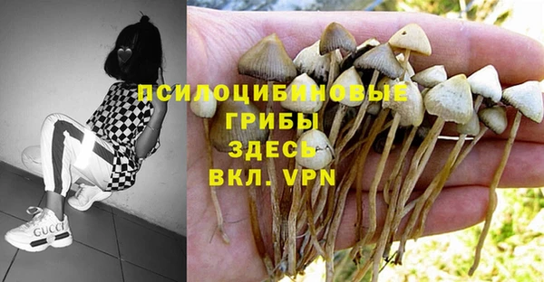 мяу мяу кристалл Остров