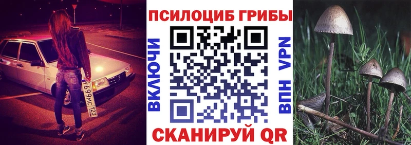 ОМГ ОМГ онион  Свирск  Псилоцибиновые грибы Psilocybe 
